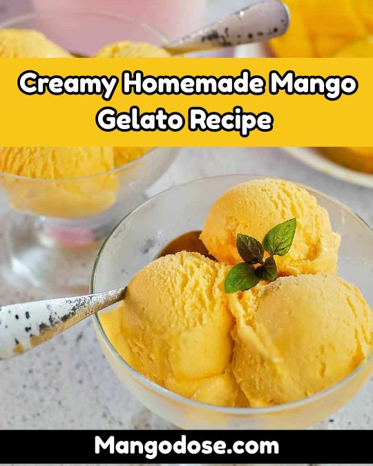 Image showing Creamy Homemade Mango Gelato Recipe 