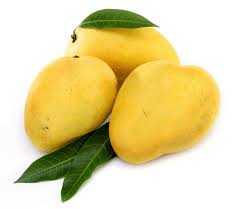 image showing Chaunsa mango type