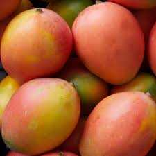 image showing keitt mango type