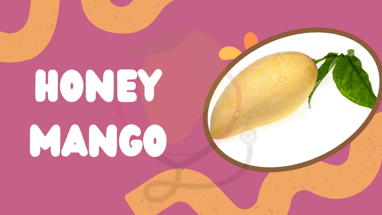 Image showing Honey Mangoes