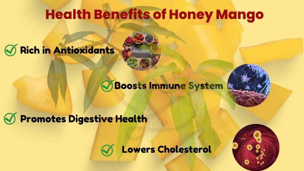 Image showing Health Benefits of Honey Mango