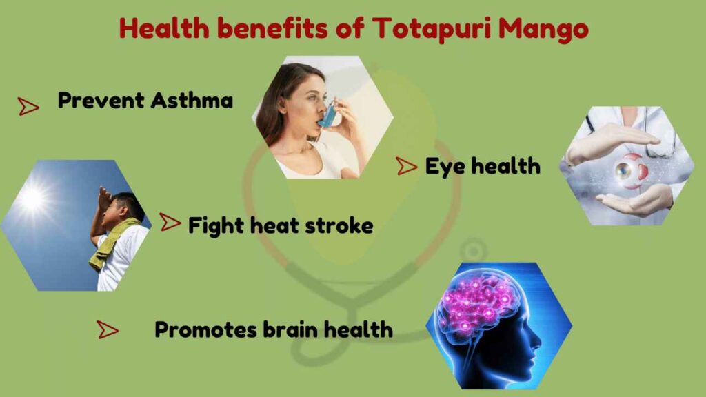 Image showing Health Benefits of Totapuri mango