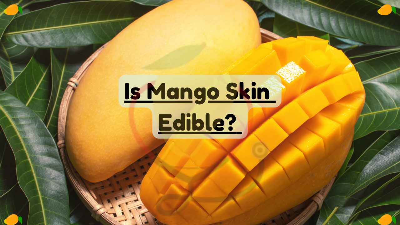 Image showing is mango skin edible?