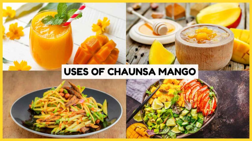 Image showing Uses of Chaunsa mango