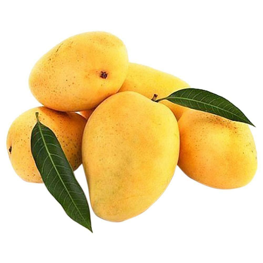 Image showing the Benefits of Mangoes for Hair