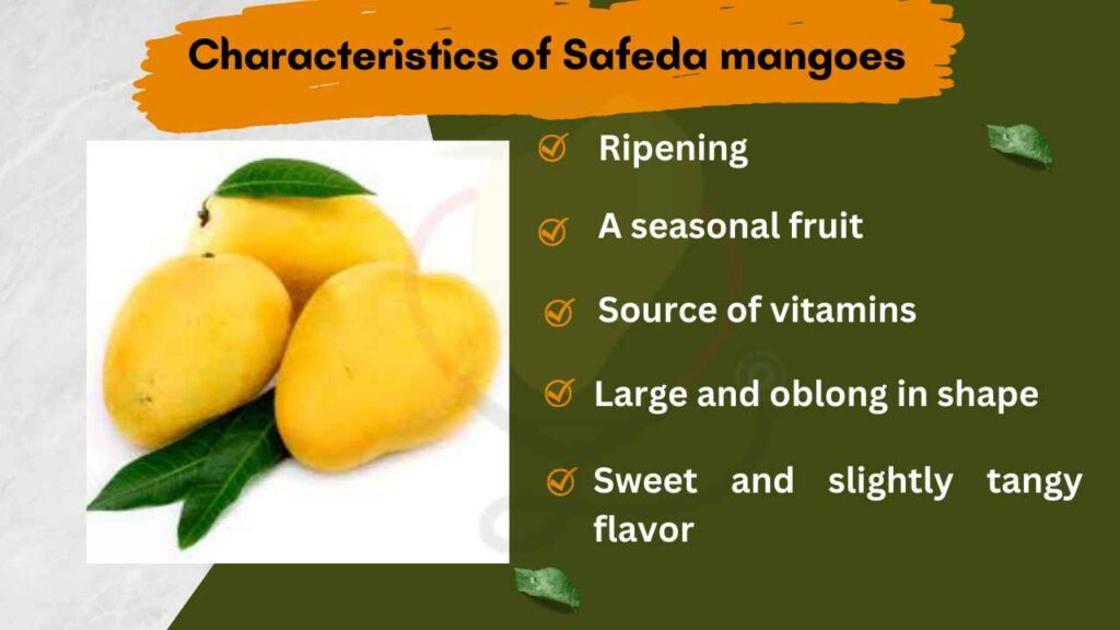 Image showing characteristics of safeda mango