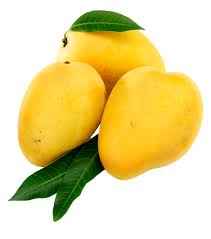 Image showing the Alphonso Mango-Variety of Mango