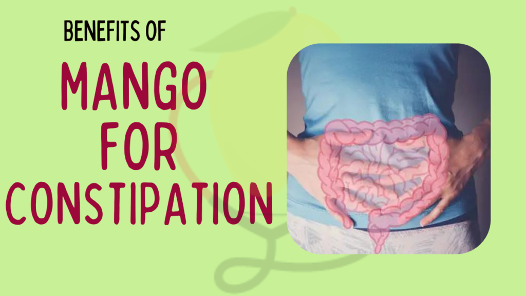 Health Benefits of Mango for Constipation Mango Dose