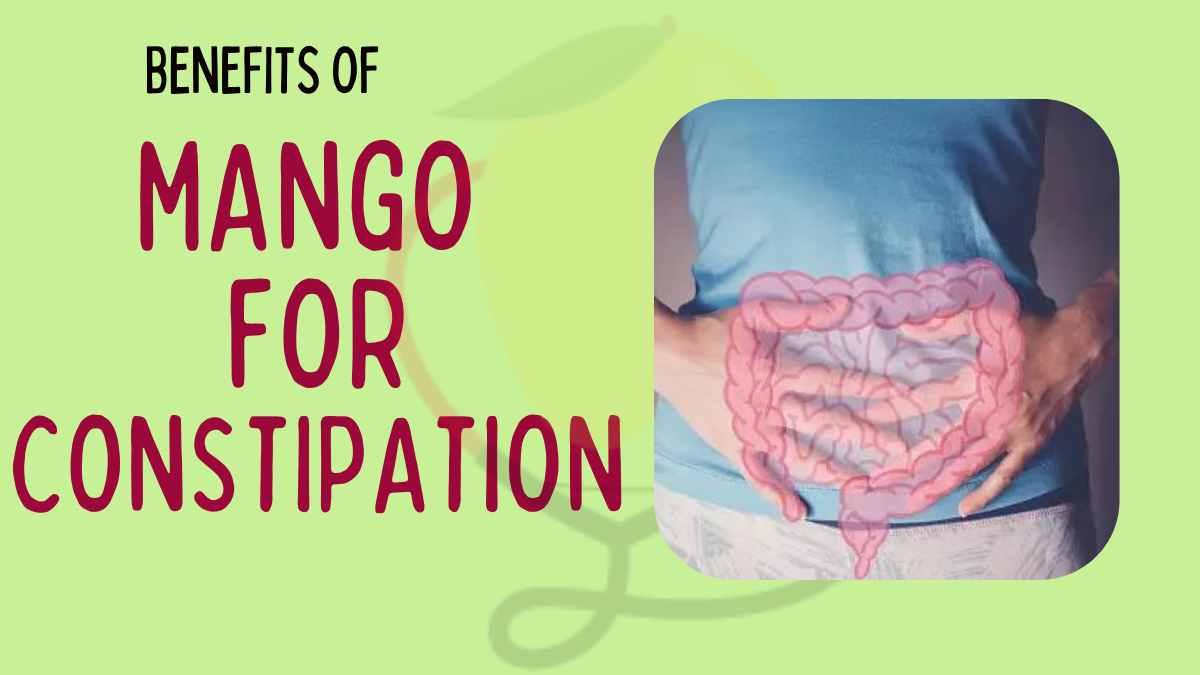 Image showing the benefits of mango for Constipation