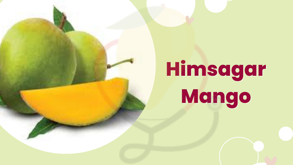 Image showing the Himsagar Mango