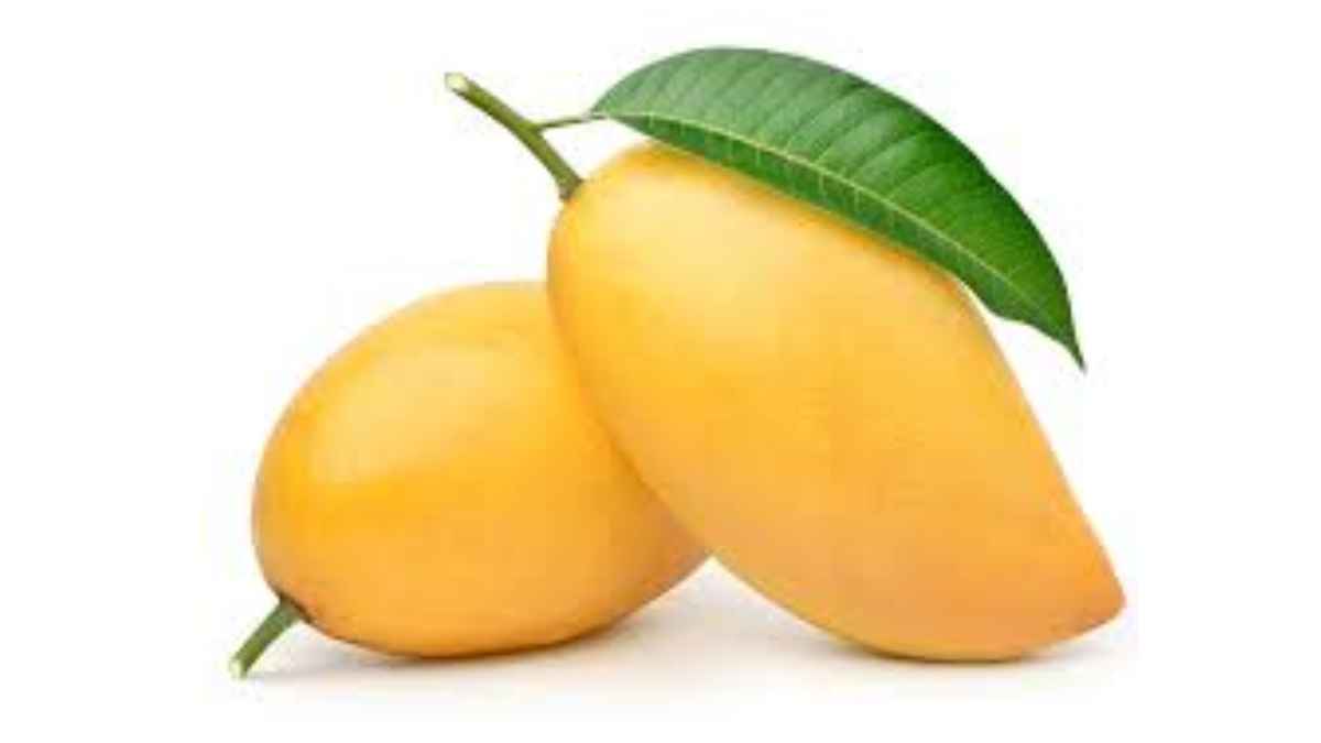 Image showing the Anwar Ratol Mango- Variety of mango