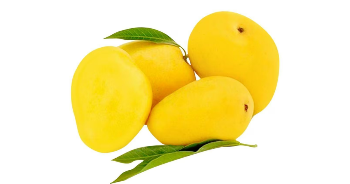 Image showing the Badami Mangoes- Variety of Mango