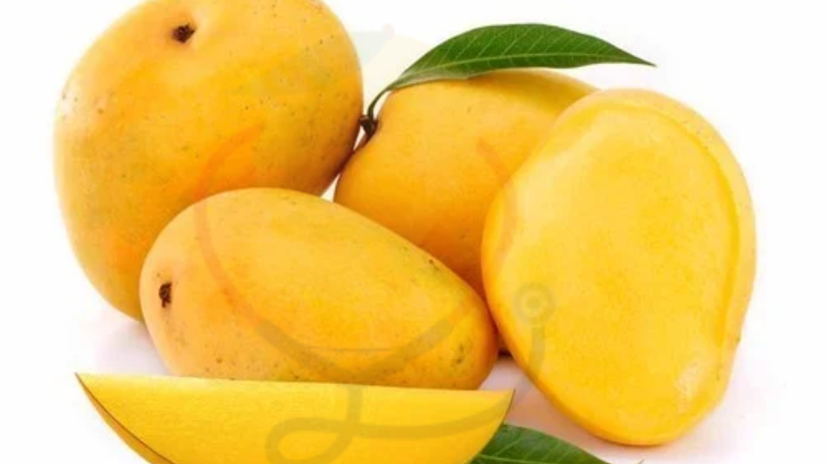 Image showing the Hapus Mango- Variety of Mango