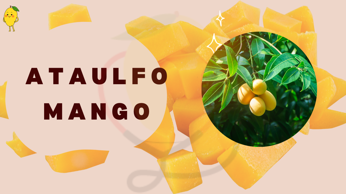 Image showing the Ataulfo Mango