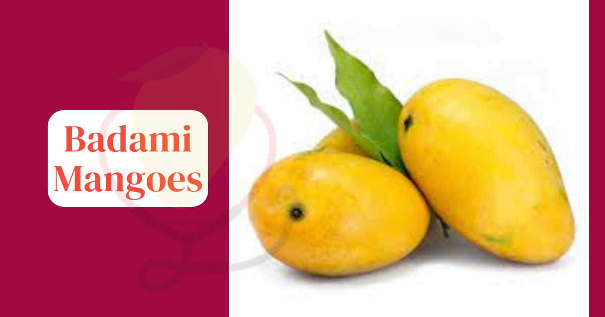Image showing the Badami Mangoes