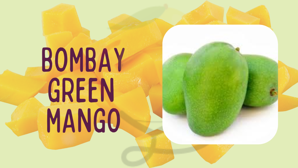 Image showing the Bombay Green Mango-Variety of Mango