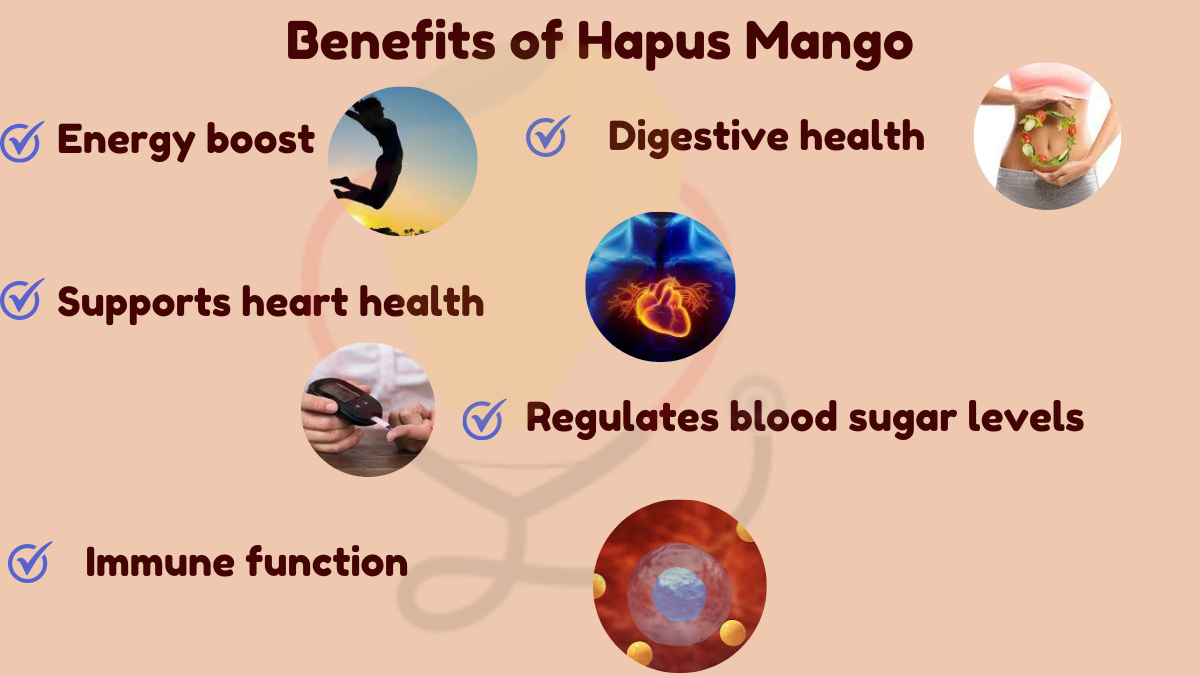 Image showing the Health Benefits of Hapus Mango