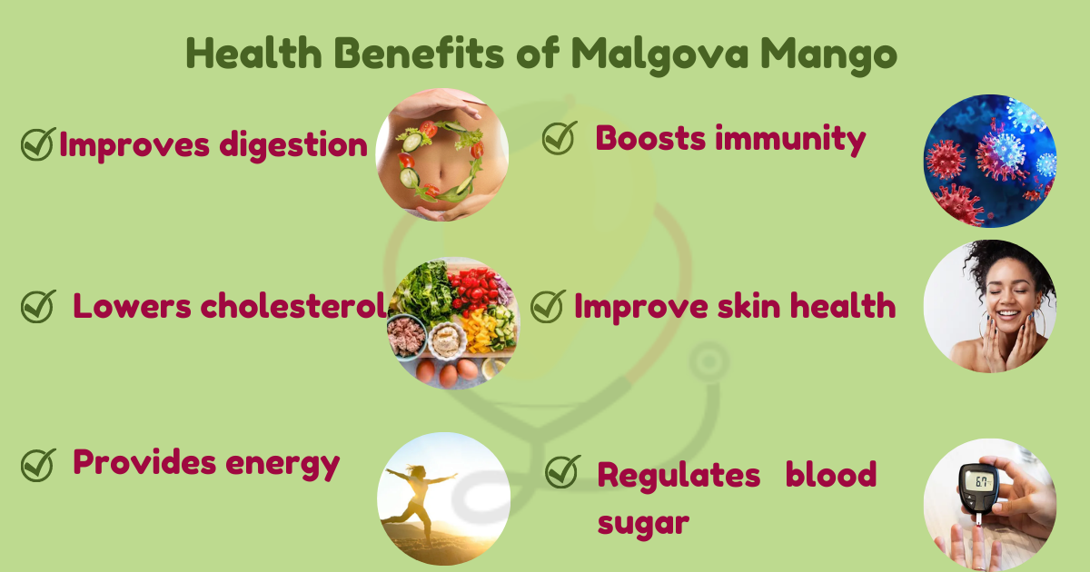 Image showing the Health Benefits of Malgova Mango