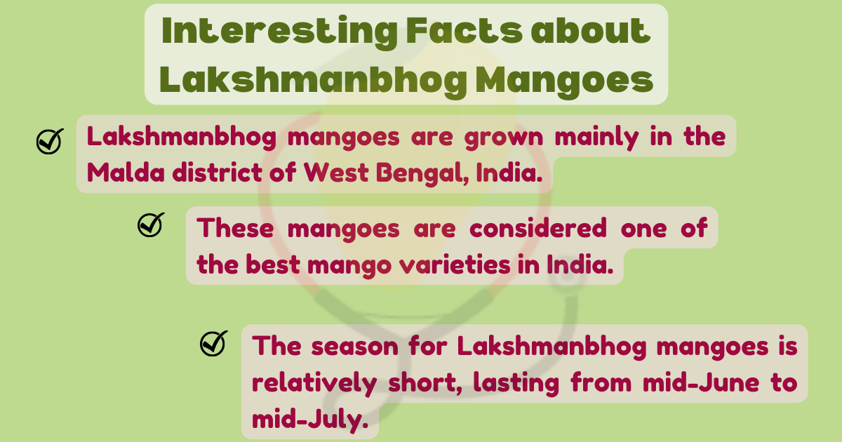 Image showing the Interesting Facts about Lakshmanbhog Mangoes