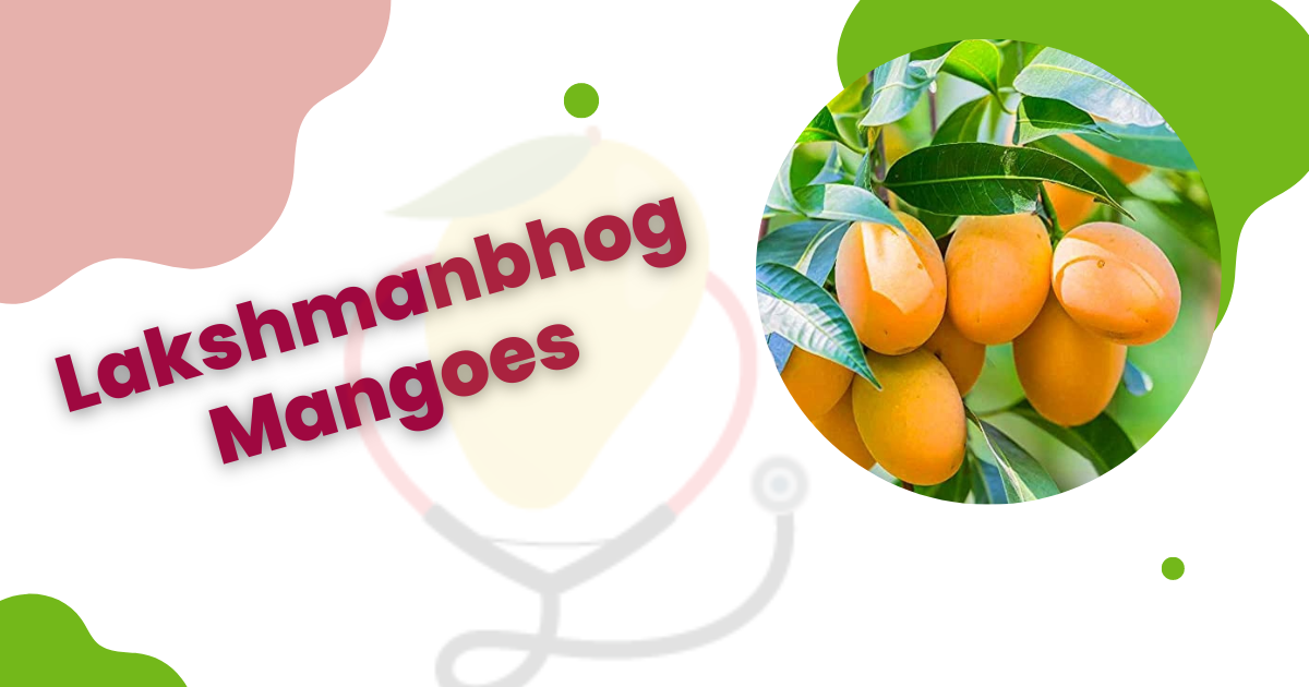 Image showing the Lakshmanbhog Mangoes