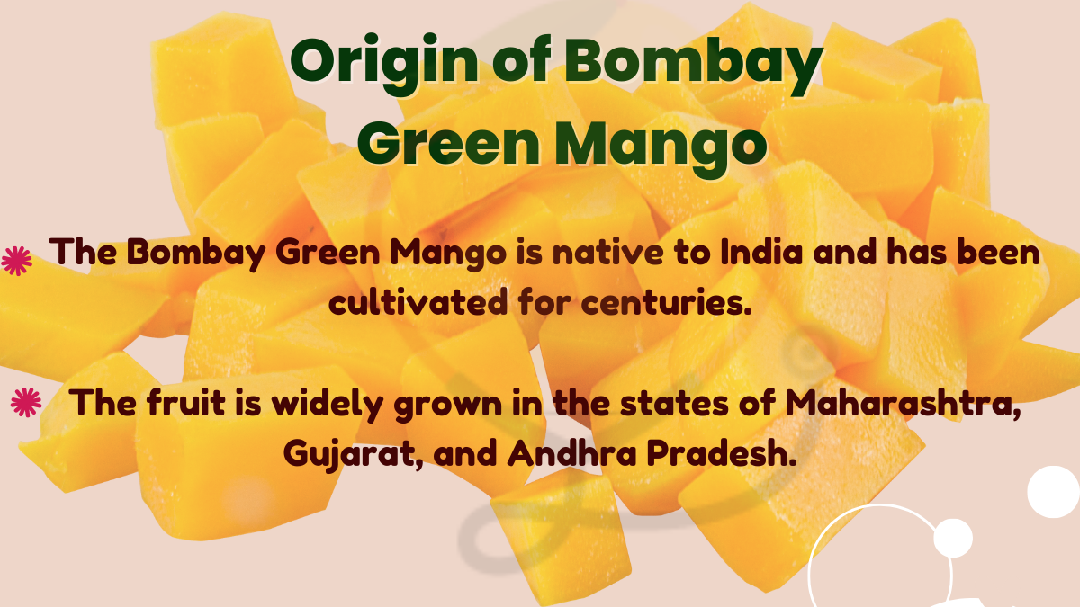Image showing the origin of Bombay Green Mango