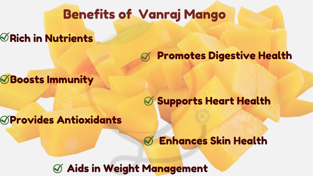 Image showing the Health Benefits of Vanraj Mangoes