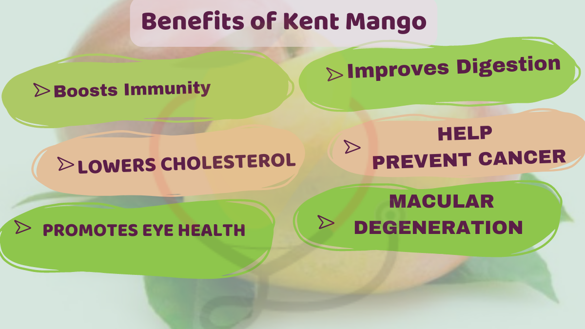 Image showing the Health Benefits of Kent Mango