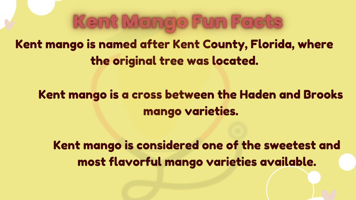 Image showing the Kent Mango Fun Facts