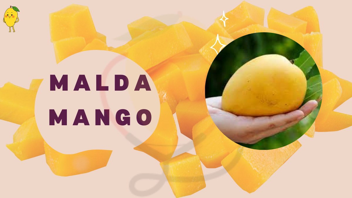 Image showing the Malda Mango