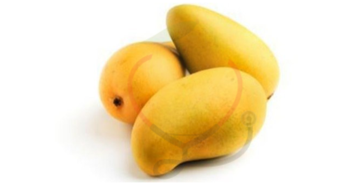 Image showing the Malgova Mango-Variety of Mango