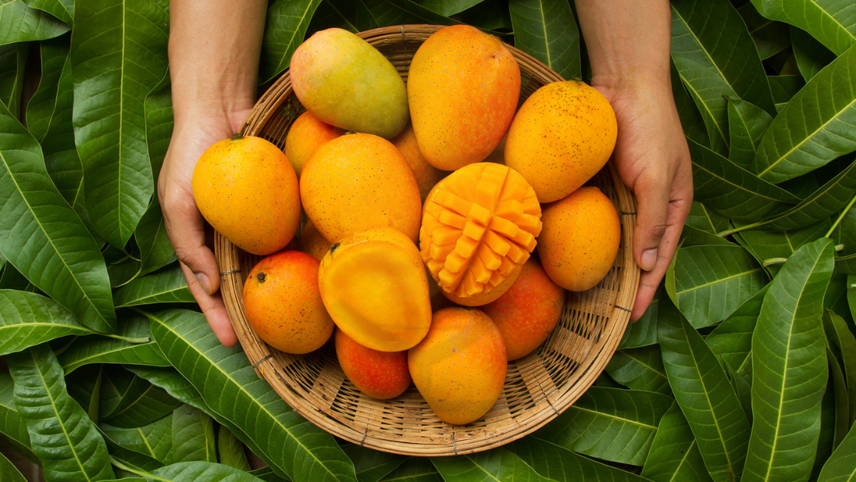 Image showing the Mankurad Mangoes