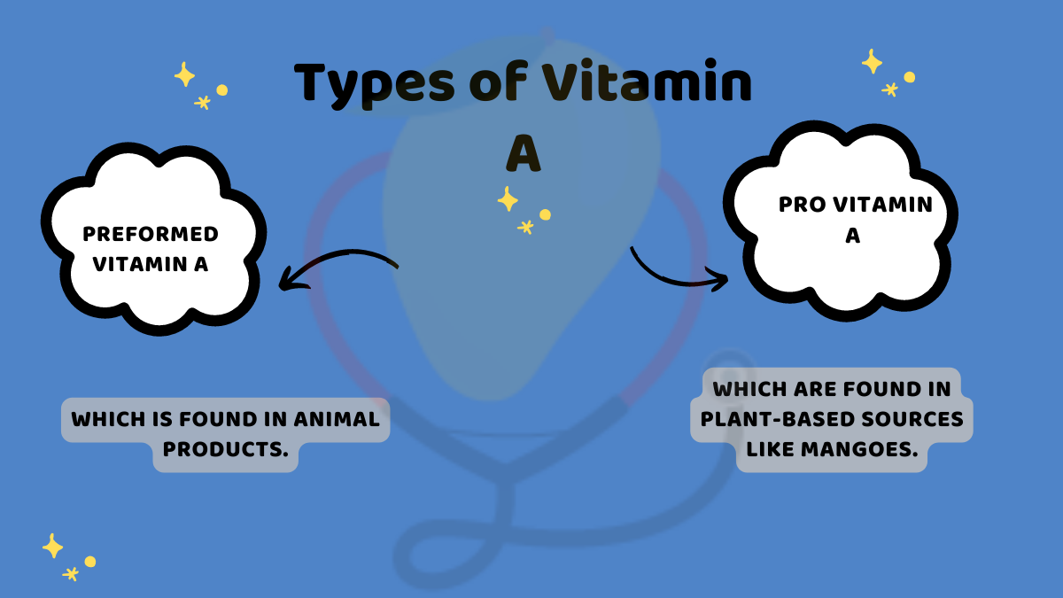 Image showing the types of vitamin A 