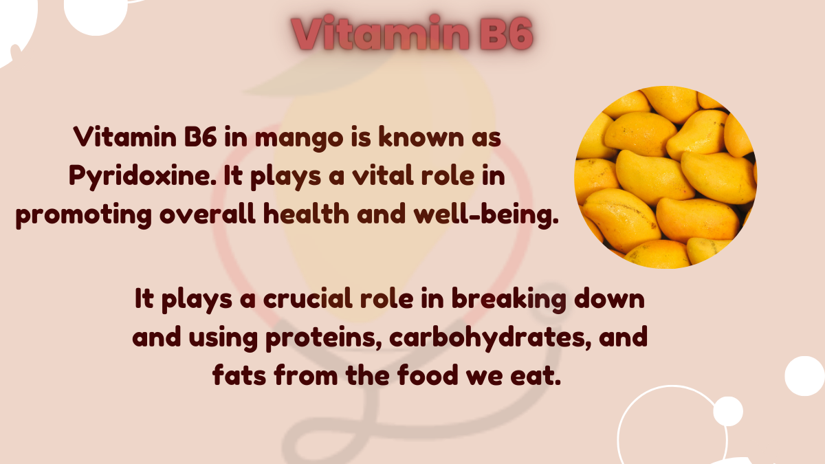 Image showing the Vitamin B6 for human health