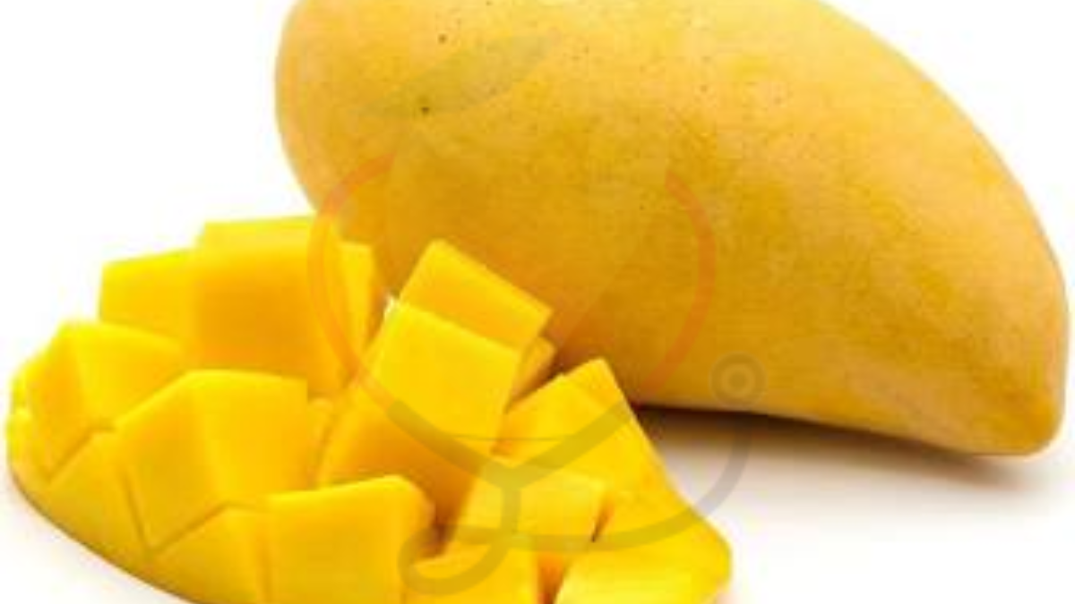 Image showing the Honey Chaunsa mango