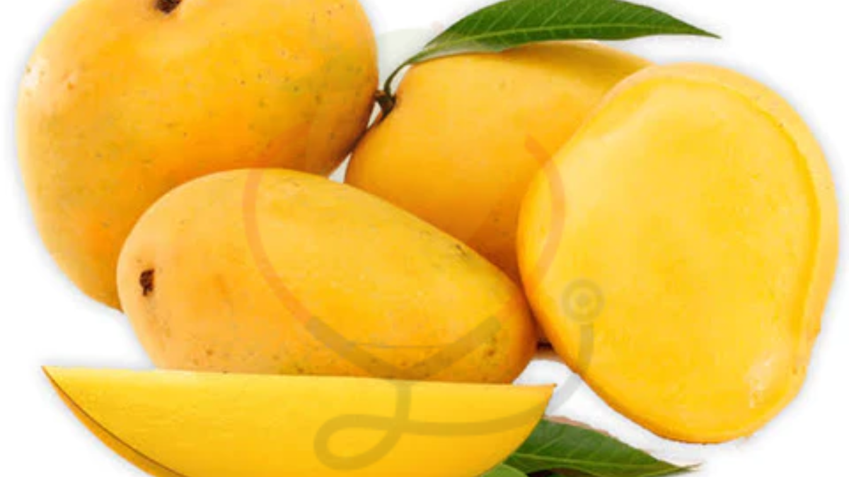 Image showing the Chaunsa Mango