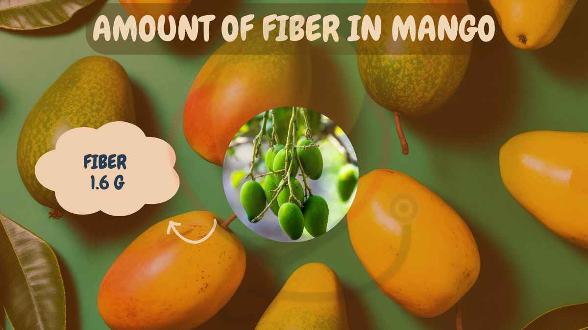Image showing the Amount of fiber in mango