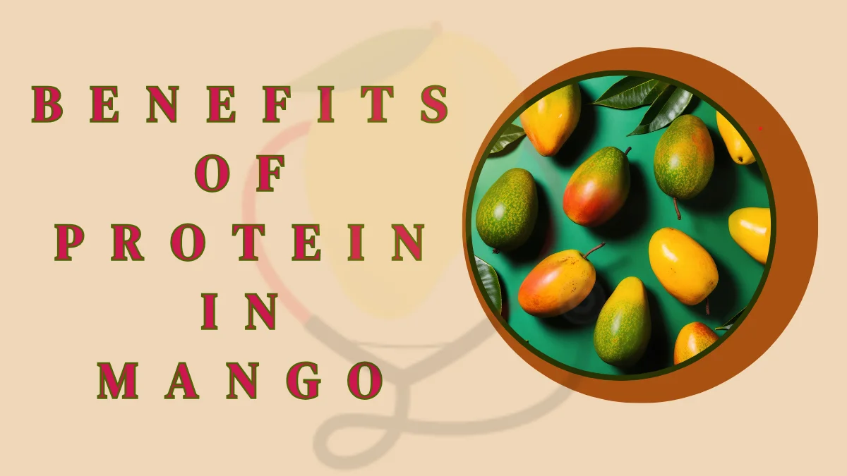 Image showing the benefits of protein in mango