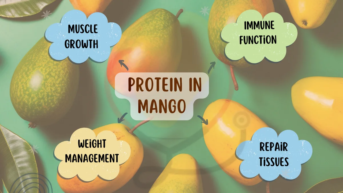Image showing the Health Benefits of protein in mango