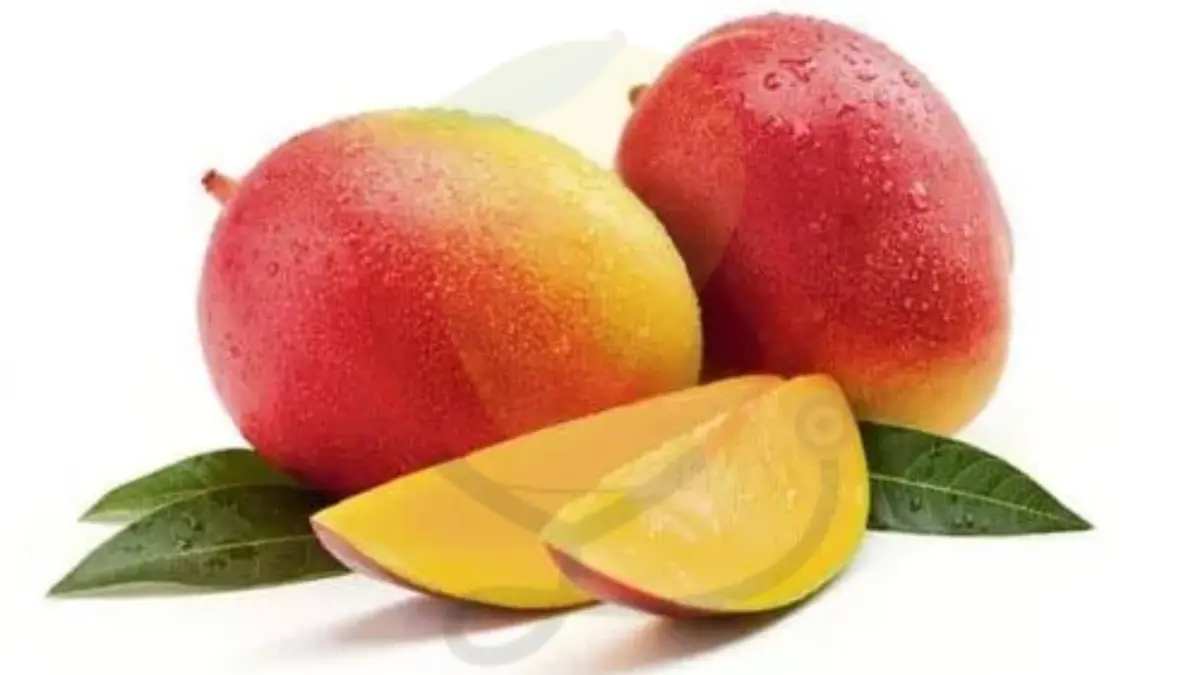 Image showing the Gulab Khas mango