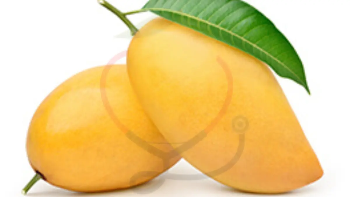 Image showing the Totapuri mango