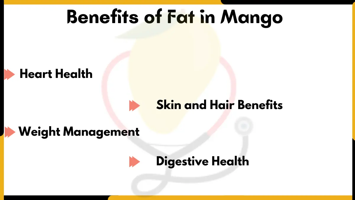 Image showing Benefits of Fat in Mango