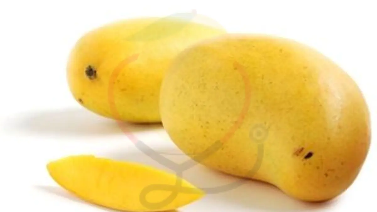Image showing the Honey Mango