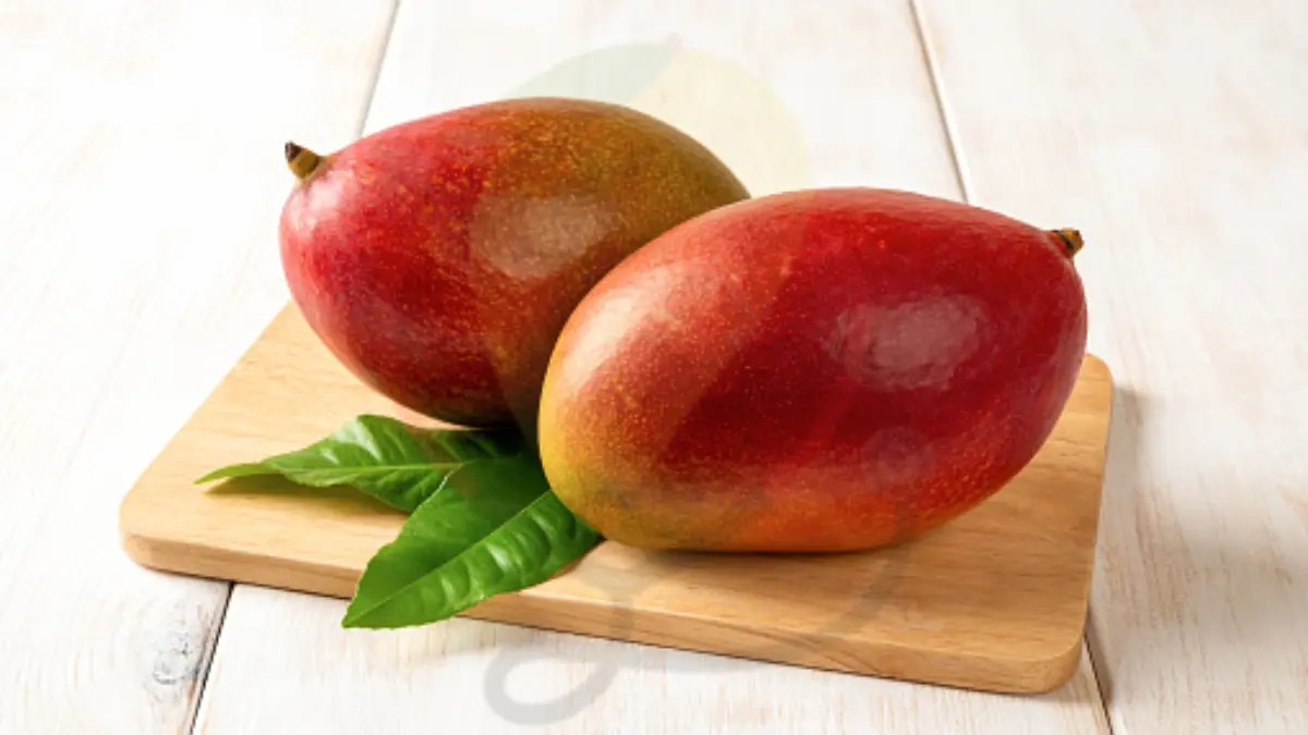 Image showing the Palmer Mango