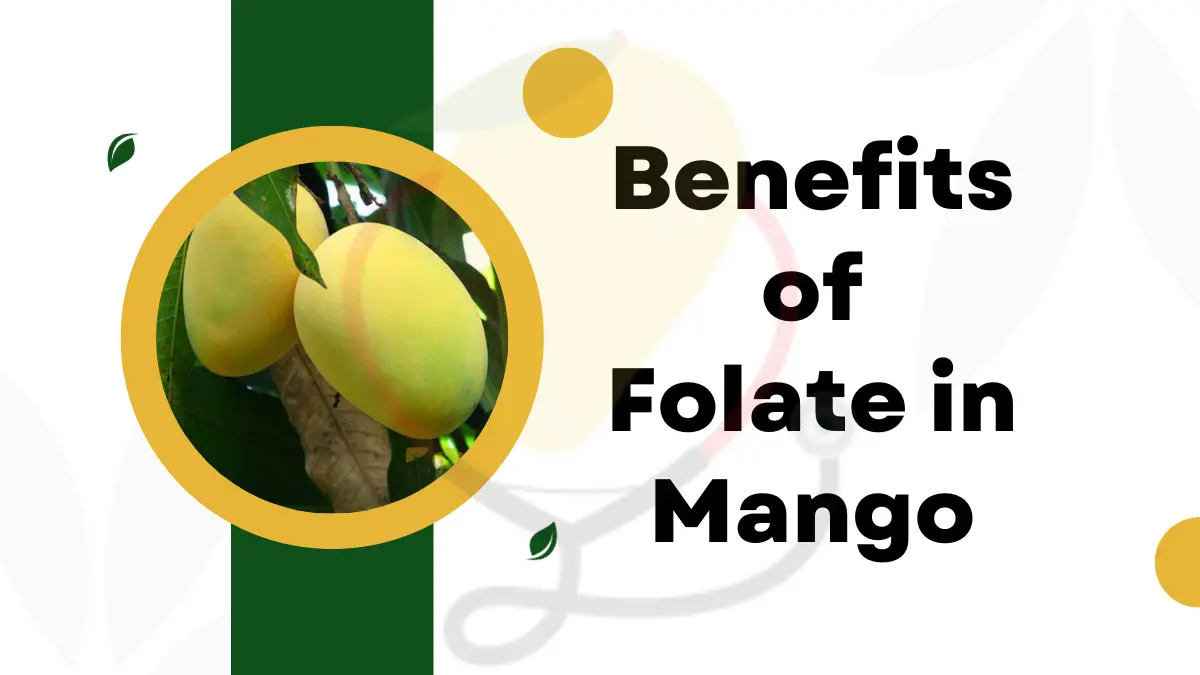 Image showing the benefits of folate in mango