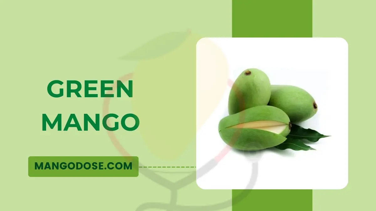 Image showing the unripe mango green mango