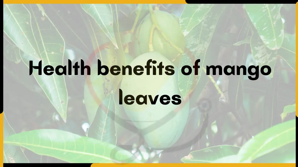 Image showing Benefits of mango leaves